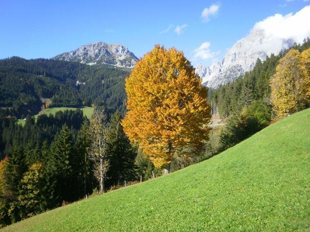 Fruehstueckspension Roetelstein Hotel Ramsau am Dachstein Ngoại thất bức ảnh