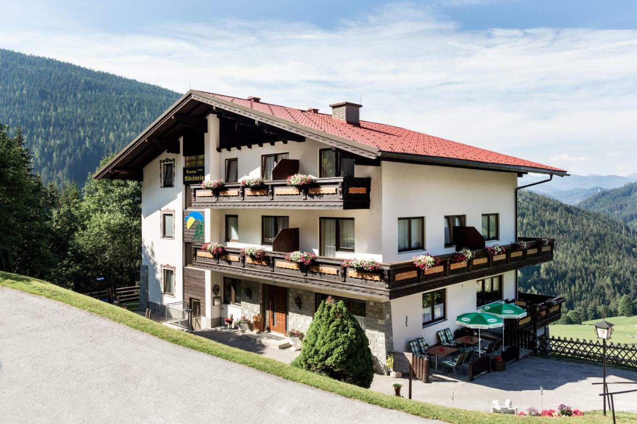 Fruehstueckspension Roetelstein Hotel Ramsau am Dachstein Ngoại thất bức ảnh